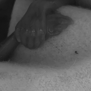 Fundraising Page: Marina Evanovich